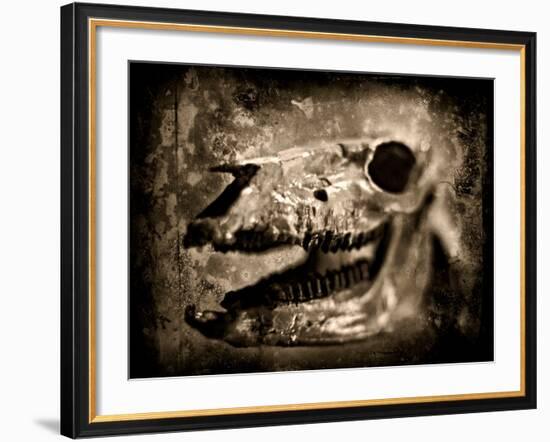 Equas Caballus-Clive Nolan-Framed Photographic Print