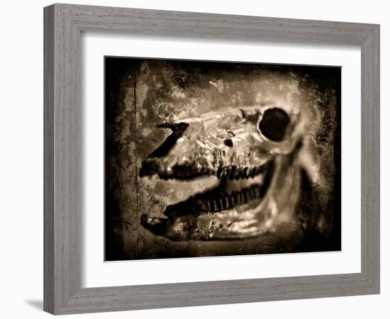 Equas Caballus-Clive Nolan-Framed Photographic Print