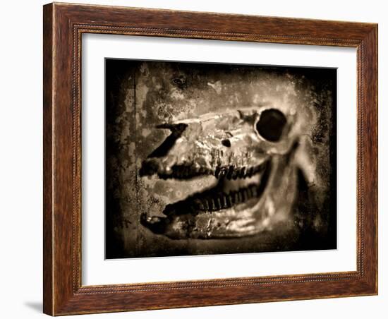 Equas Caballus-Clive Nolan-Framed Photographic Print