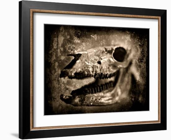 Equas Caballus-Clive Nolan-Framed Photographic Print