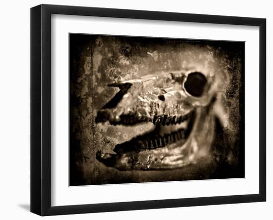 Equas Caballus-Clive Nolan-Framed Photographic Print