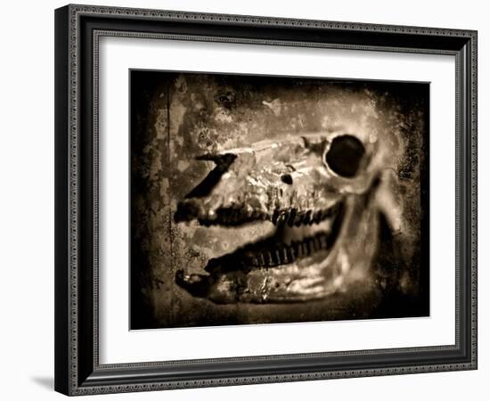 Equas Caballus-Clive Nolan-Framed Photographic Print