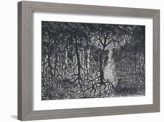 'Equatorial African Forest', 1924-Unknown-Framed Giclee Print