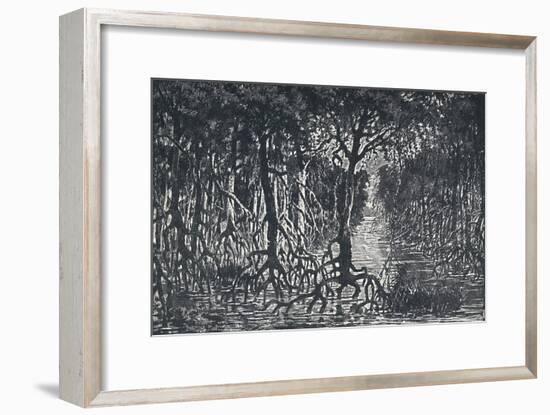 'Equatorial African Forest', 1924-Unknown-Framed Giclee Print