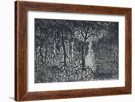 'Equatorial African Forest', 1924-Unknown-Framed Giclee Print