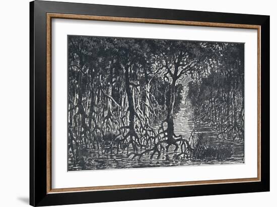 'Equatorial African Forest', 1924-Unknown-Framed Giclee Print