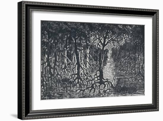 'Equatorial African Forest', 1924-Unknown-Framed Giclee Print