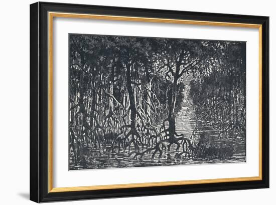 'Equatorial African Forest', 1924-Unknown-Framed Giclee Print