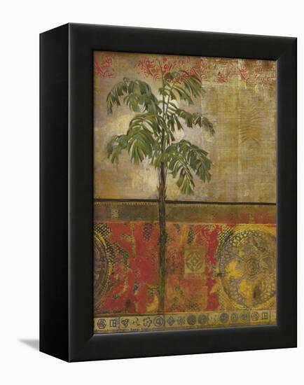 Equatorial Beauty II-Douglas-Framed Stretched Canvas