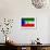 Equatorial Guinea Flag Design with Wood Patterning - Flags of the World Series-Philippe Hugonnard-Framed Premium Giclee Print displayed on a wall