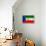 Equatorial Guinea Flag Design with Wood Patterning - Flags of the World Series-Philippe Hugonnard-Framed Stretched Canvas displayed on a wall