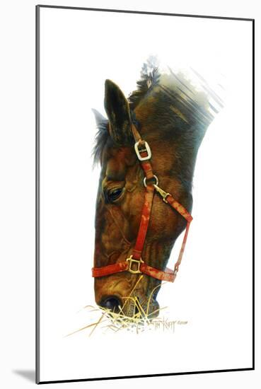 Equestian-Tim Knepp-Mounted Giclee Print