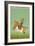 Equestrian Portrait of Maharana Sarup Singh, Signed by Shiva, Mewar, circa 1858-null-Framed Giclee Print