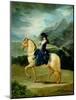 Equestrian Portrait of Maria Teresa De Vallabriga (Oil on Canvas)-Francisco Jose de Goya y Lucientes-Mounted Giclee Print