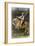 Equestrian Portrait of Stanislas Kostka Potocki 1781-Jacques-Louis David-Framed Giclee Print