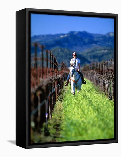 Equestrian Riding in a Vineyard, Napa Valley Wine Country, California, USA-John Alves-Framed Premier Image Canvas