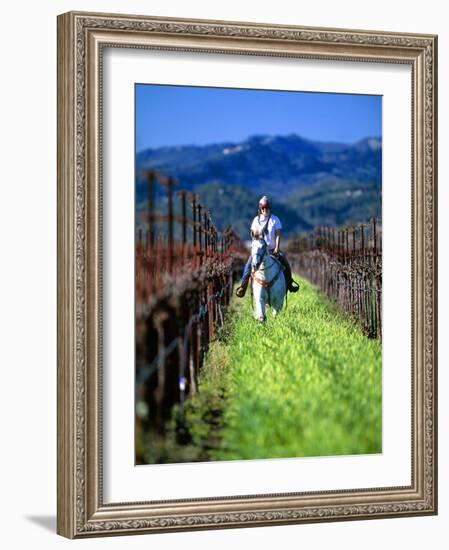 Equestrian Riding in a Vineyard, Napa Valley Wine Country, California, USA-John Alves-Framed Photographic Print