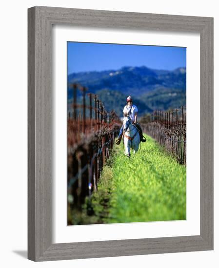 Equestrian Riding in a Vineyard, Napa Valley Wine Country, California, USA-John Alves-Framed Photographic Print