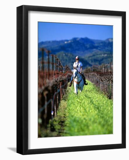 Equestrian Riding in a Vineyard, Napa Valley Wine Country, California, USA-John Alves-Framed Photographic Print