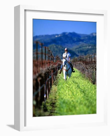 Equestrian Riding in a Vineyard, Napa Valley Wine Country, California, USA-John Alves-Framed Photographic Print