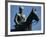 Equestrian Statue of General Mannerheim, Helsinki, Finland, Scandinavia-Ken Gillham-Framed Photographic Print