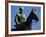 Equestrian Statue of General Mannerheim, Helsinki, Finland, Scandinavia-Ken Gillham-Framed Photographic Print