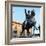 Equestrian statue of Marcus Aurelius, 2nd century. Artist: Unknown-Unknown-Framed Giclee Print