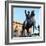 Equestrian statue of Marcus Aurelius, 2nd century. Artist: Unknown-Unknown-Framed Giclee Print