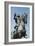 Equestrian Statue of Philip III, 1616-Pietro Tacca-Framed Giclee Print