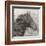 Equestrian Story 1-Ken Roko-Framed Art Print