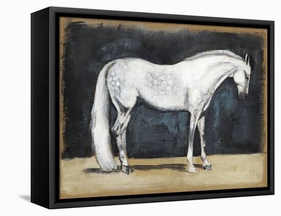 Equestrian Studies V-Naomi McCavitt-Framed Stretched Canvas