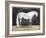 Equestrian Studies V-Naomi McCavitt-Framed Art Print