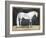 Equestrian Studies V-Naomi McCavitt-Framed Art Print