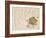 Equestrian Trappings and a Plum Branch, C.1860-Kih?-Framed Giclee Print
