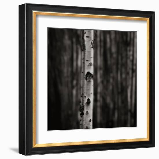 Equilibrium-Jamie Cook-Framed Giclee Print