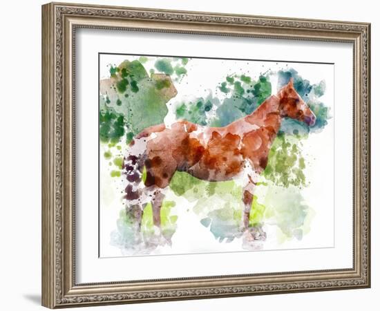 Equine Confirmation-Chamira Young-Framed Art Print