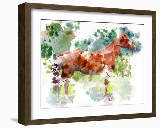 Equine Confirmation-Chamira Young-Framed Art Print