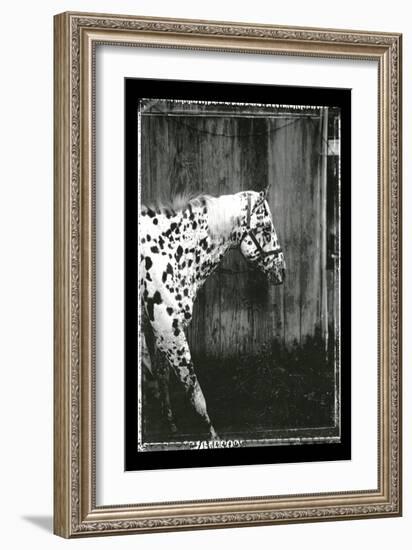 Equine Double Take I-Susan Friedman-Framed Art Print