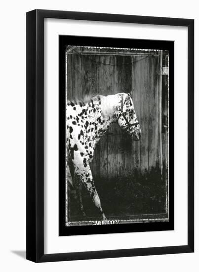 Equine Double Take I-Susan Friedman-Framed Art Print