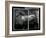 Equine Double Take IV-Susan Friedman-Framed Art Print