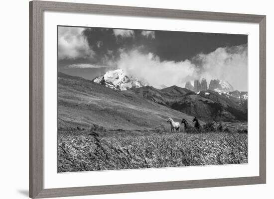 Equine Elevation-Andrew Geiger-Framed Giclee Print