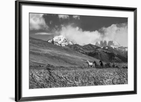 Equine Elevation-Andrew Geiger-Framed Giclee Print