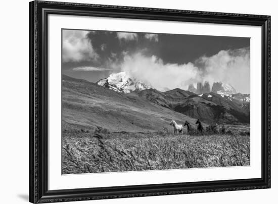 Equine Elevation-Andrew Geiger-Framed Giclee Print