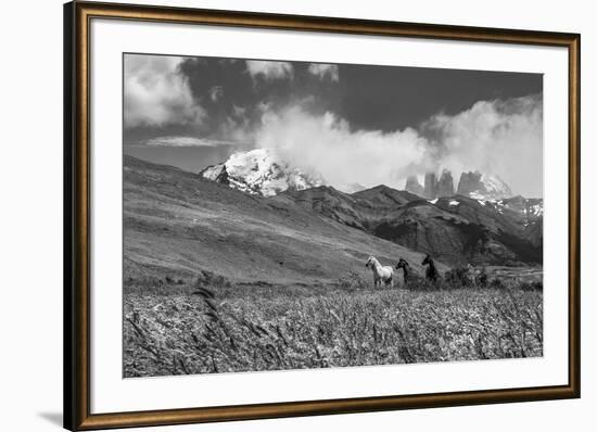 Equine Elevation-Andrew Geiger-Framed Giclee Print