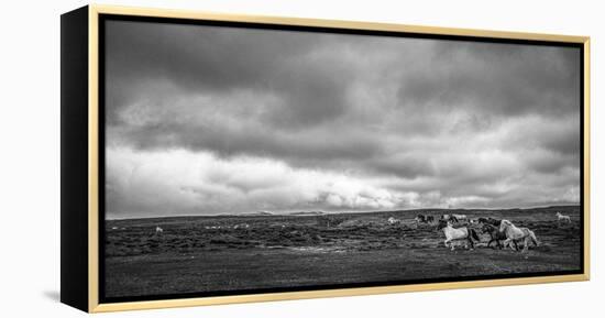 Equine Event-Andrew Geiger-Framed Stretched Canvas