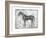 Equine Silhouette II-Ethan Harper-Framed Art Print