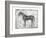 Equine Silhouette II-Ethan Harper-Framed Art Print