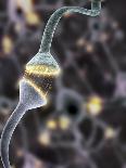 Nerve Synapse, Artwork-Equinox Graphics-Photographic Print