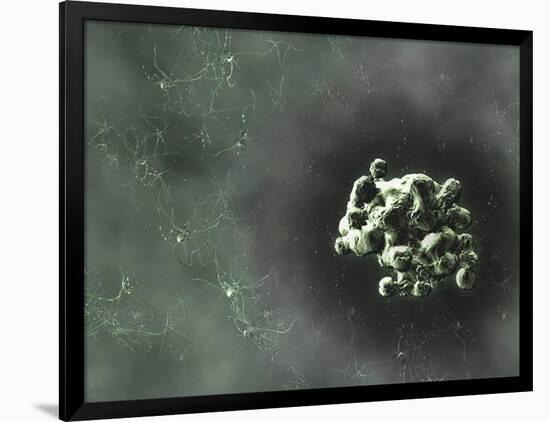 Photographic Print, , large