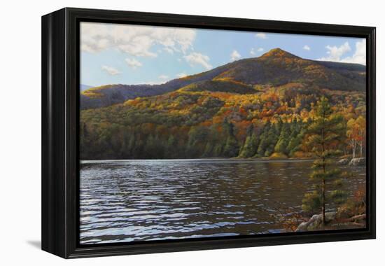 Equinox Pond II-John Zaccheo-Framed Premier Image Canvas